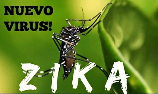 Bộ Y tế khẳng định: “Việt Nam chưa có ca nhiễm virus Zika”
