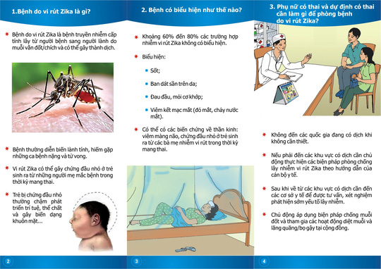 Khuyến cáo của Bộ Y tế với phụ nữ mang thai ứng phó virus Zika