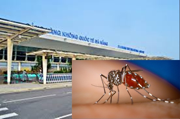 Thực hư muỗi truyền virus Zika xuất hiện ở sân bay Đà Nẵng?