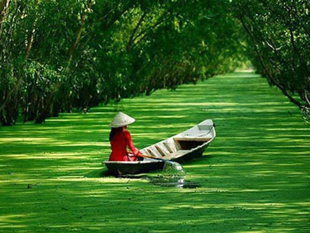 Những địa điểm du lịch hấp dẫn ở Long An