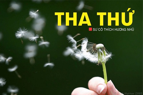 Nhất định phải tha thứ cho 6 người này để thanh thản cả đời