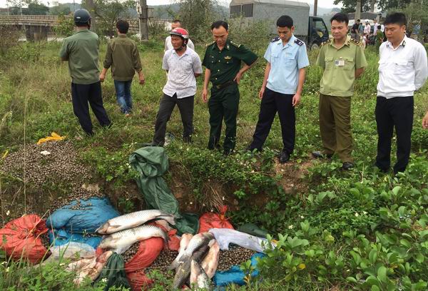 Bắt gần 3 tấn cá trắm, rô phi nhập lậu từ Trung Quốc
