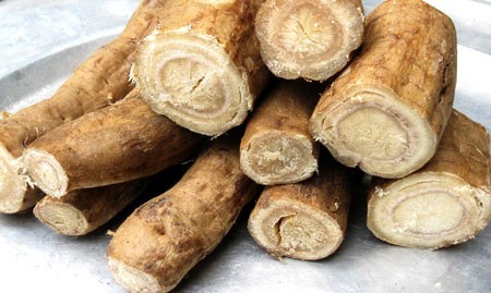 Gặp những bệnh sau bạn chỉ cần sắn dây là khỏi