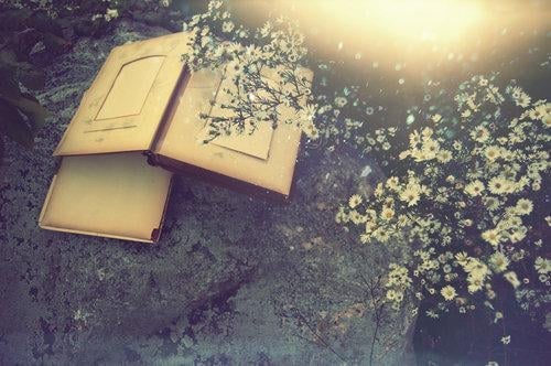 Cổ nhân dạy 5 sự thật về cuộc đời phải chấp nhận để trưởng thành