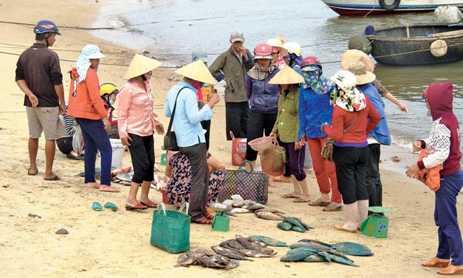 Vụ cá chết hàng loạt ở miền Trung: 5 ngày tới sẽ rõ nguyên nhân
