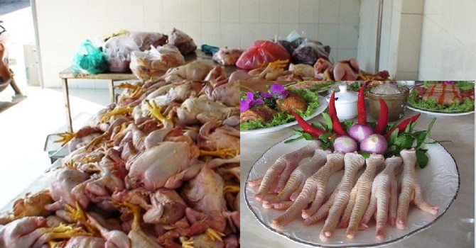 Cách phân biệt gà ta - gà Trung Quốc thải loại bằng mắt thường