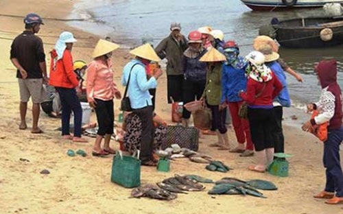 Ngiêm cấm thu mua, tiêu thụ cá chết bất thường