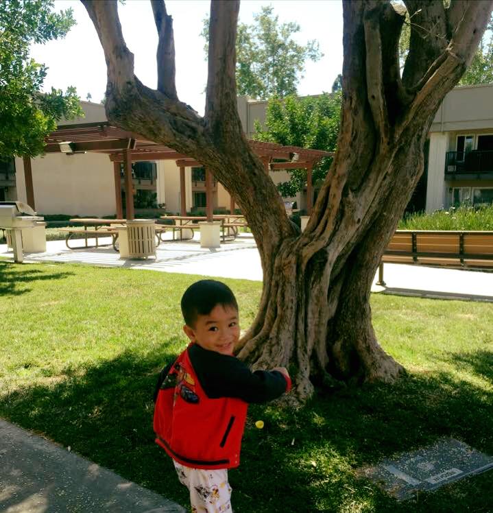 Thanh Thảo hạnh phúc khoe con trai nuôi đáng yêu 'Bây giờ chỉ mong có con ở nhà để đi chơi lễ với mẹ thôi. Hu hu hu. Lễ tết mà thiếu chàng ấy bên cạnh là lại không vui tí nào cả! Làm sao để hai mẹ gần nhau luôn mà không phải xa nhau nữa đây?'.