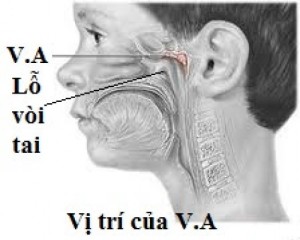 Con ngừng thở giữa đêm vì lý do đơn giản mà bố mẹ không biết