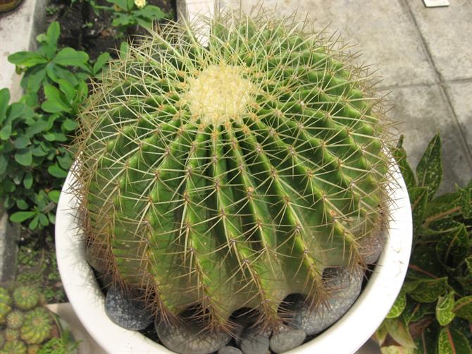 Những lỗi