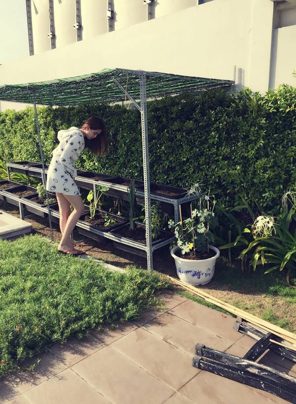 Ngọc Trinh tự tay chăm sóc cho những luống rau xanh trong nhà.