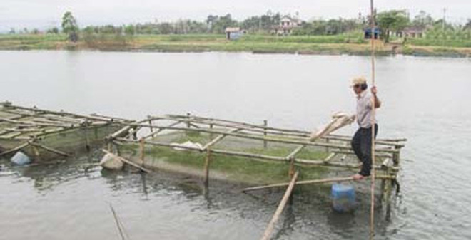 Xót thương 5 người bị điện giật chết thương tâm