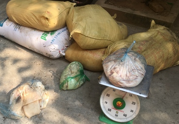 Tin phụ nữ ngày 7/6: Phát hiện hơn nửa mỡ lợn bốc mùi tại Hà Nội