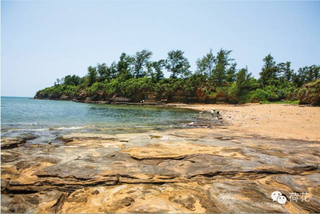 Ngoài ra, nó cũng rất cần thiết để duy trì chất lượng và số lượng tinh trùng. Vì vậy, nếu bạn không có cơ hội tiếp xúc nhiều với ánh nắng mặt trời thì bạn nên thường xuyên ăn cá ngừ và trứng.