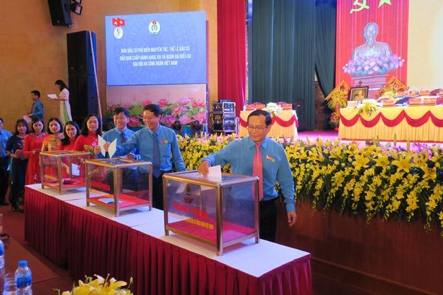Cà chua là siêu thực phẩm vì chúng có vô số lợi ích cho sức khỏe con người. Cà chua chứa nhiều chất lycopene, nhiều Shbet888.com tỷ lệ cược cao đã chứng minh nó có khả năng giúp giảm nguy cơ ung thư đại trực tràng...