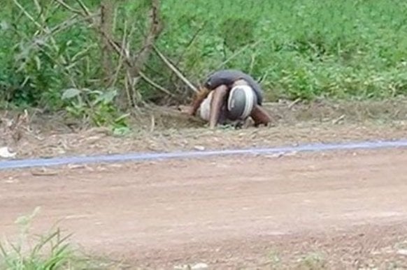 Phát hiện thi thể 2 người đàn ông chết bất thường bên vệ đường