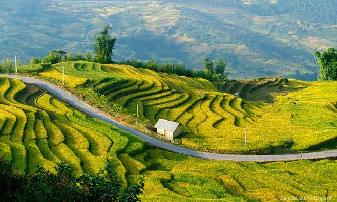Thế nhưng, ngay trước đêm chung kết cô buộc phải rút lui vì chuyện từng kết hôn trước đó.