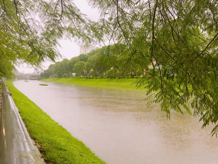 Sông Tô Lịch bỗng hóa