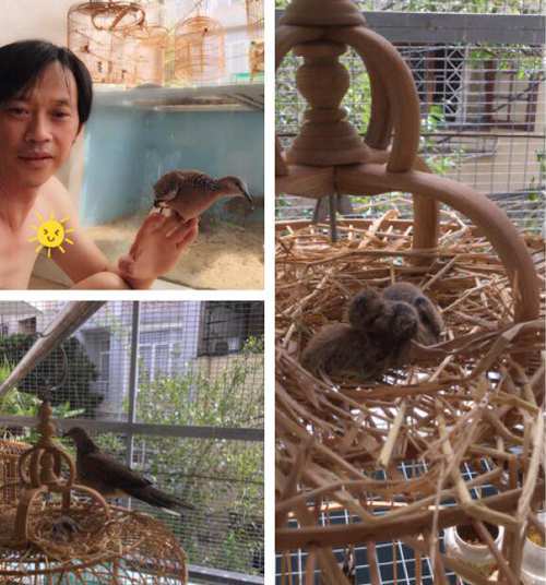 Danh hài Hoài Linh lên thăm 'vườn thú' của mình, anh viết: 'Sáng ra thăm con gái, thằng rể và 2 đứa cháu ngoại nè chị Hai'.