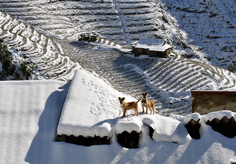 Diem-den-ly-tuong-trai-nghiem-mua-dong-xu-bac-wanderlusttips