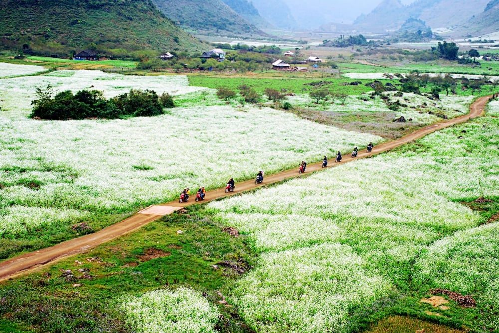 Moc Chau 5