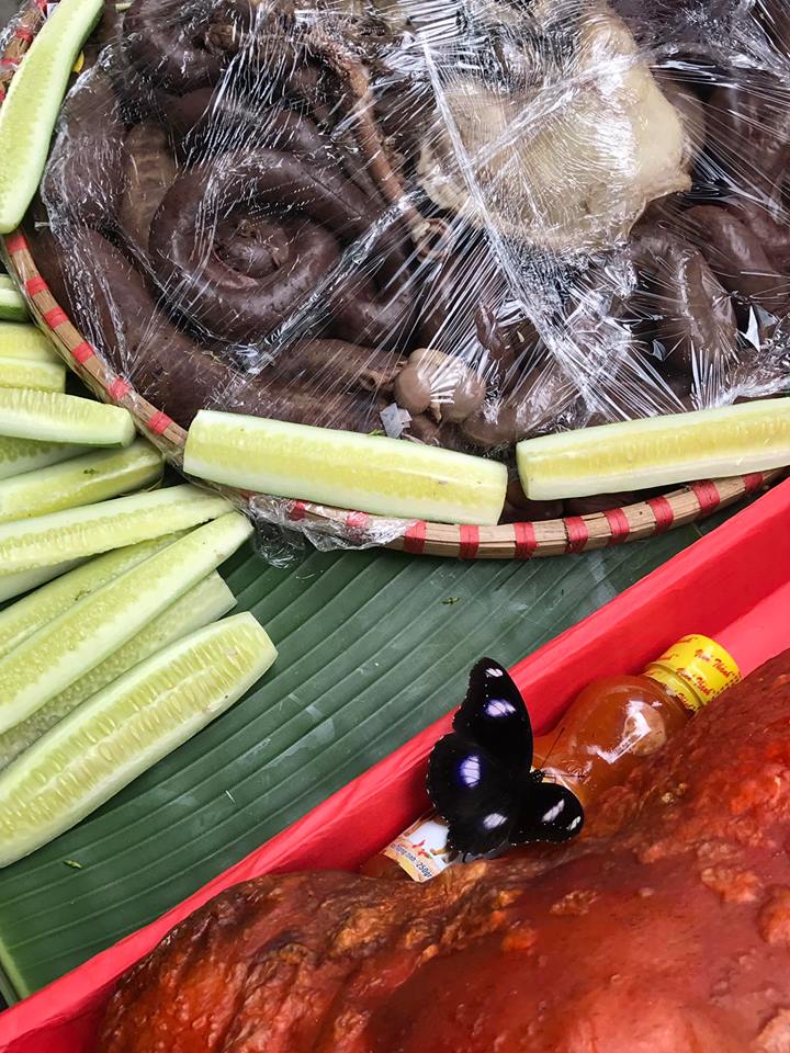 le-cong-tuan-anh-phunutod