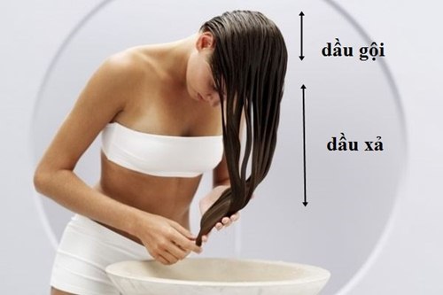 goi-dau-blogtamsuvn