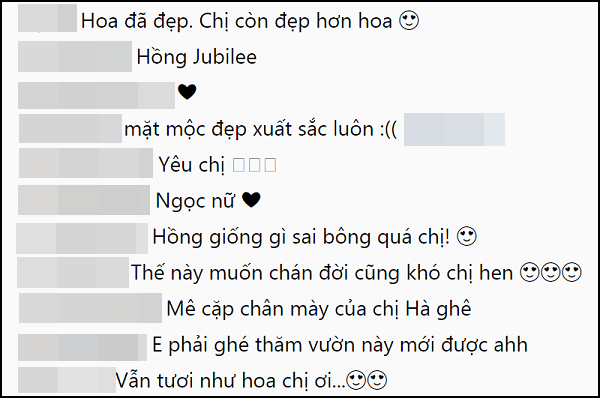 Nhiều người dành cho Tăng Thanh Hà lời ngợi khen 