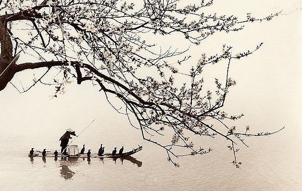 tran-quy-cuoc-song