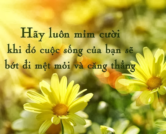cuoi-vui-moi-ngay