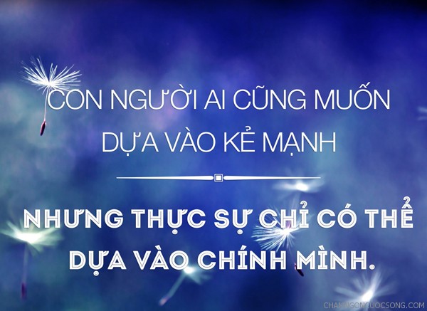 nghi-luan-xa-hoi-ve-dua-vao-chinh-minh