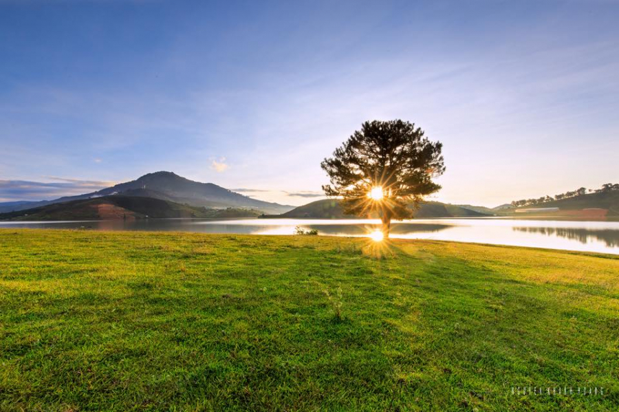 tour-chup-binh-minh-san-suong-may-o-da-lat-11
