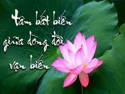 tam-bat-bien-giua-dong-doi-van-bien-cung-nhung-bai-hoc-xuong-mau1