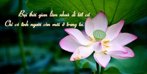tam-bat-bien-giua-dong-doi-van-bien-cung-nhung-bai-hoc-xuong-mau2