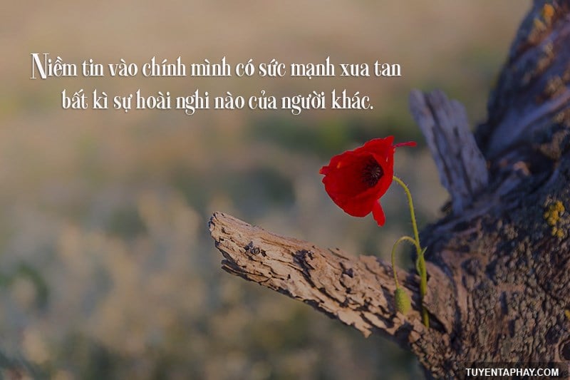 16-cau-noi-hay-ve-nghi-luc-cuoc-song-giup-ban-co-gang-hon-hinh-anh-2