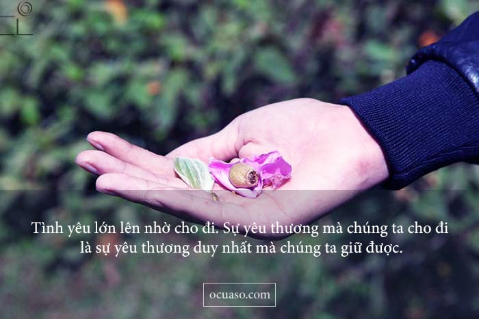status-yeu-thuong-hay-nhat-2