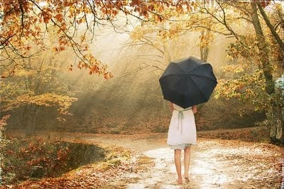 secretgardenumbrellaforestgirltreessunlightautumnumbrella-13bd6928c7528e30cbbb51e6a2844f29_h