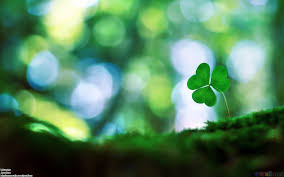 images (2)