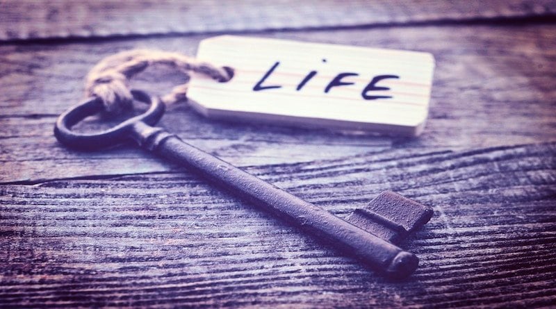 life-plan-2