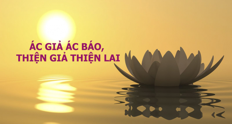 bon-thu-che-lap-tam-con-nguoi-1