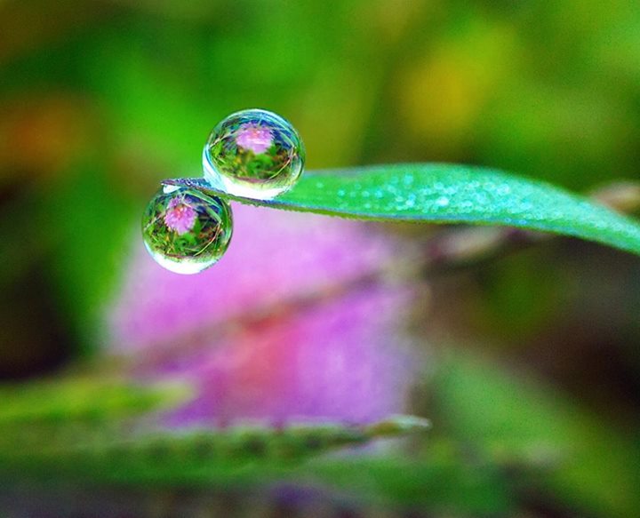 macro1