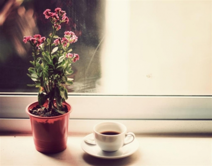 ly-cafe-2