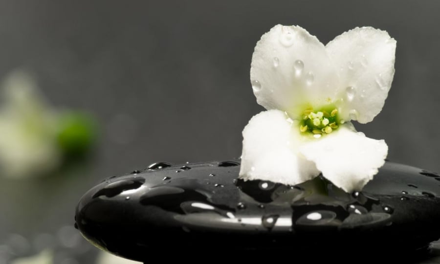zen-nature-nice-photography-landscape-hd-travel-49372