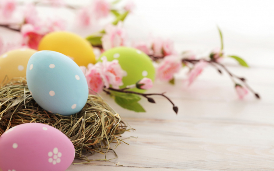 8777388-easter-eggs