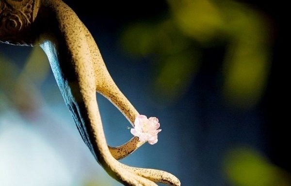 van-su-tuy-duyen-cuong-cau-vo-ich-600x385