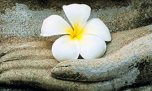 phu-nu-lam-dieu-nay-phuc-khi-cuc-tot