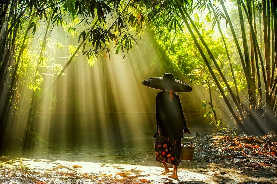 cung-ngam-nhin-lang-que-viet-nam-yen-binh-tho-mong-qua-bst-anh-phong-canh-dep-nhat-10