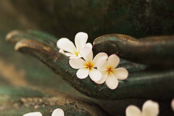 Phatgiao-org-vn-nhan-qua-va-so-phan-con-nguoi-phan-3