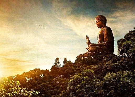 forest_buddha_hand_birds_s
