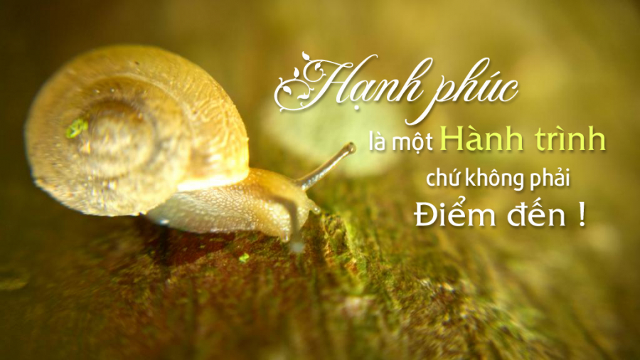 hanh-phuc-la-mot-tien-trinh